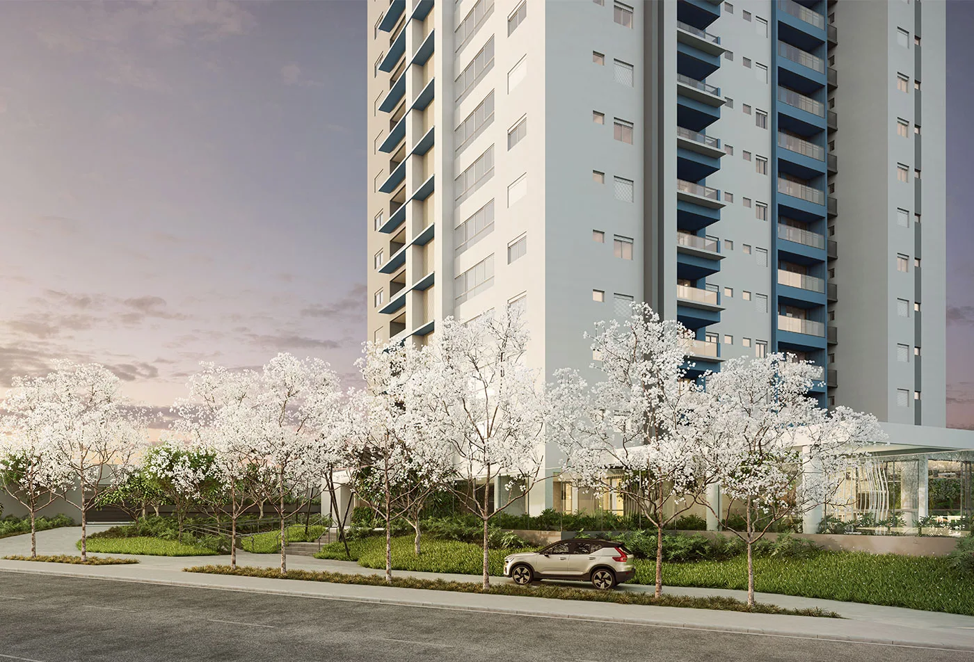 Imagem de divulgação de Tay Campo Grande